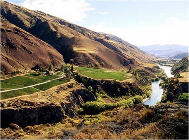 Nieuw-Zeeland viert 200 jaar wijnbouw