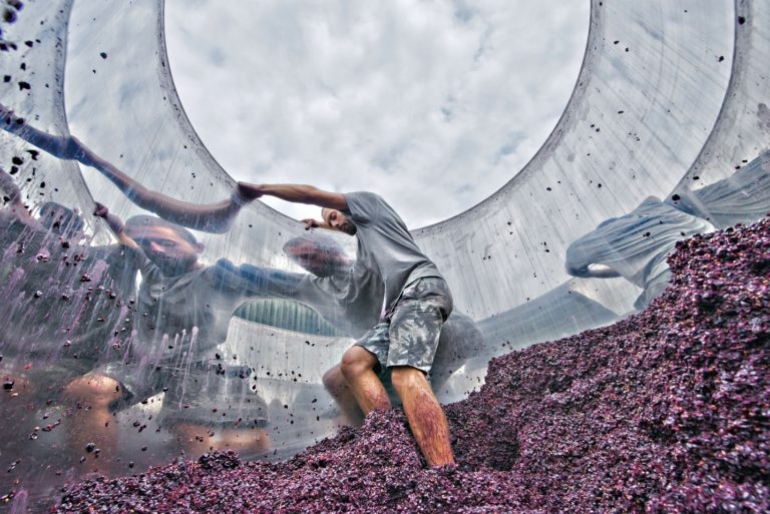 1% meer wijn geproduceerd in 2020 t.o.v. 2019